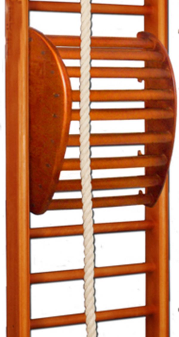 1205261666_trenazher-dlya-spiny.jpg 1205261666_trenazher-dlya-spiny.jpg