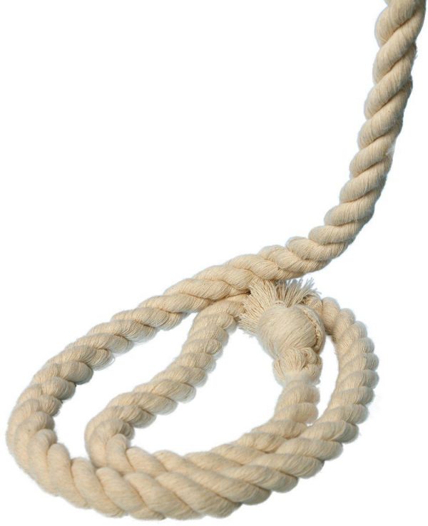 1205880526_kanat-dlya-lazanya.jpg 1205880526_kanat-dlya-lazanya.jpg