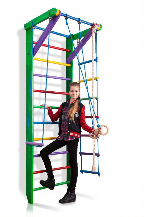 1205888991_sportivnyj-ugolok-robin.jpg 1205888991_sportivnyj-ugolok-robin.jpg