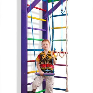 Спортивный уголок «Карусель 2-220»