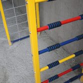 67769665_w640_h640_67769665