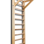 bf6e893a335be6f0462609ef540e29ca