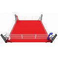 v-noks-exo-floor-mounted-boxing-ring-7-7-m-2-700x700