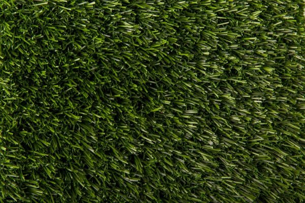 Greenville (1) Greenville (1)