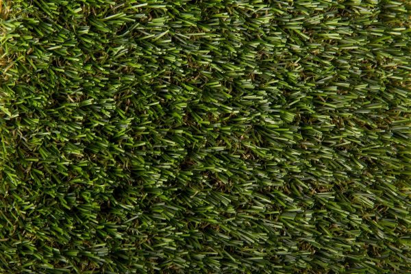 Greenville (2) Greenville (2)